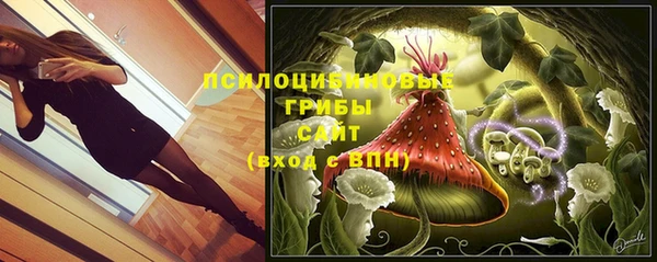 а пвп мука Армянск