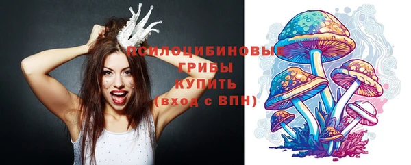 PSILOCYBIN Арсеньев